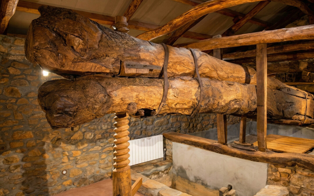 Así le hemos devuelto la vida al Lagar de San Pedro Castañero